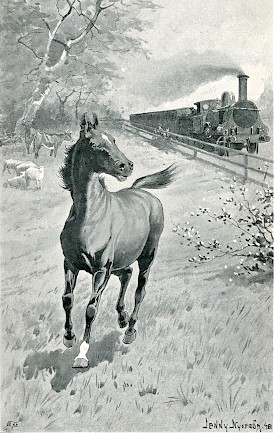 Illustration by Vackrav Svarten from Black Beauty by Anna Sewall