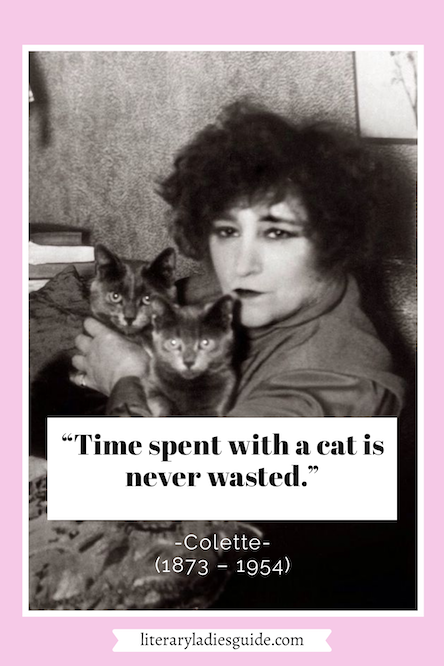 colette cat quote