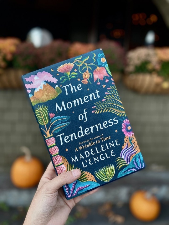 The Moment of Tenderness Bookstagram