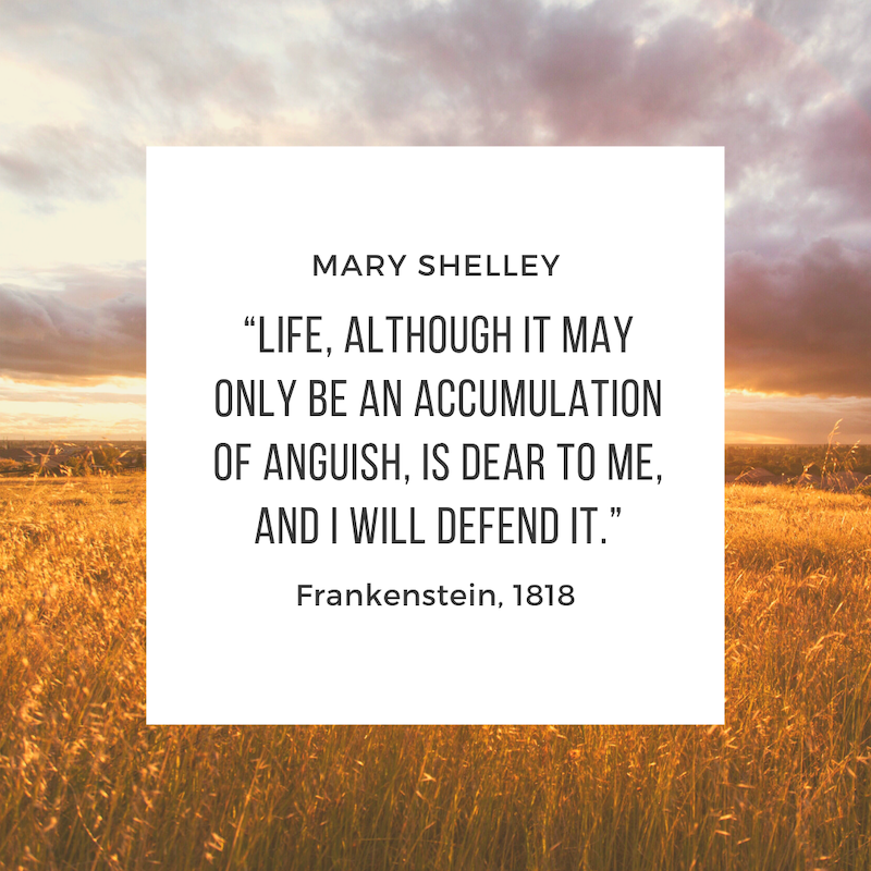 Quote from Frankenstein by Mary Shelley, 1818