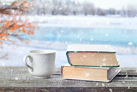 Book in snow