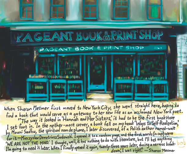 Pageant Bookstore by Bob Eckstein