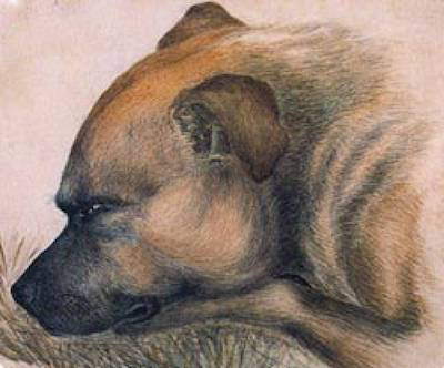 Keeper-Emily Bronte's dog
