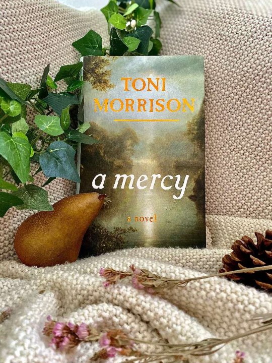 A Mercy Toni Morrison