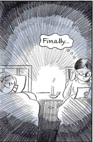 From Charlotte Bronte Before Jane Eyre by Glynnis Fawkes