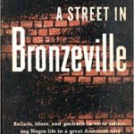 A Street in Bronzeville by Gwendolyn Brooks
