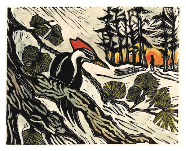 Illlustration by Carol Zaloom from Reservoir Year (Nina Shengold)