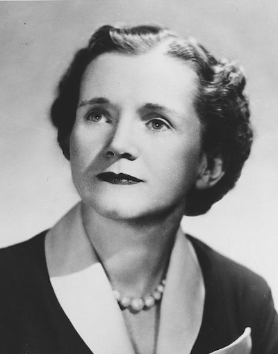 Rachel Carson portrait