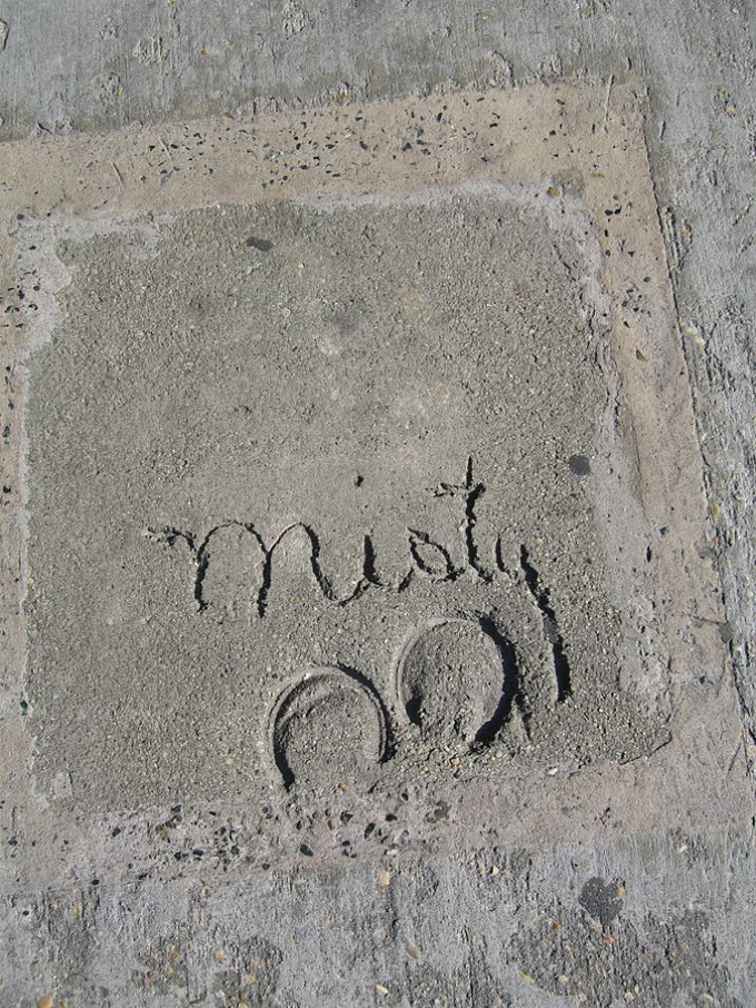 Misty's Hoofprints
