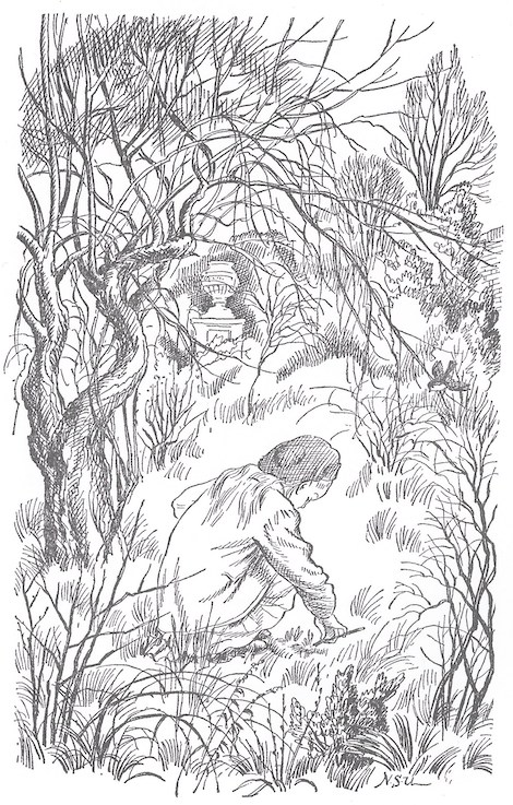 Secret Garden illustration by Nora S. Unwin