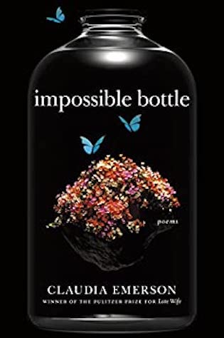 Impossible bottle by Claudia Emerson