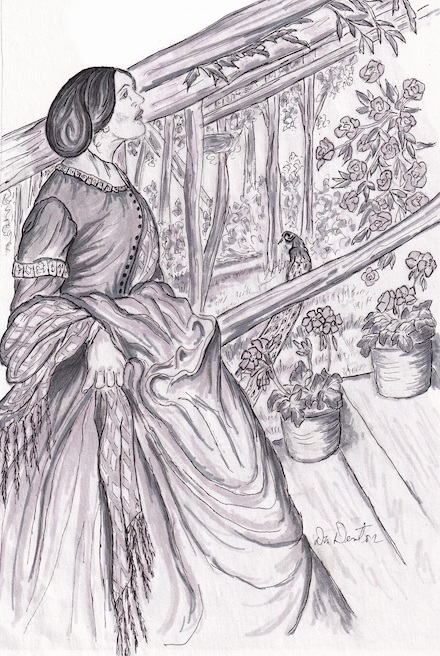 Illustration from A Dove Upon Her Branch by DM Denton