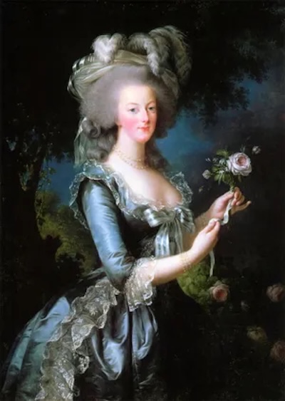Marie-Antoinette painting by Louise-Elisabeth Vigee-Lebrun, Versailles Museum